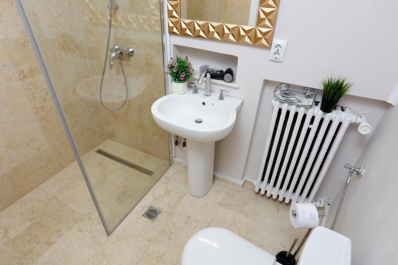 Grand Phillip Cismigiu Park Downtown Bucharest Apartment Luaran gambar